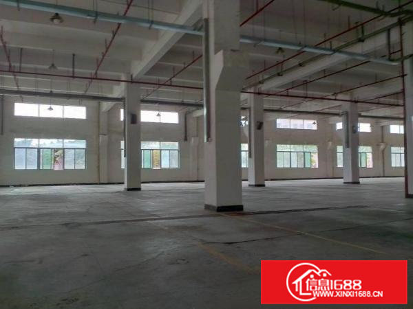 大朗洋乌原房东可办环评12000平方厂房出租可以分租