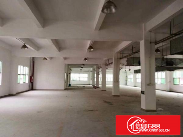 惠城原房东万江工业园独栋厂房出租面积实在