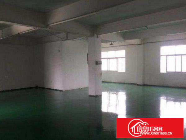 620平，3 1格局，实用率高，无需装修！