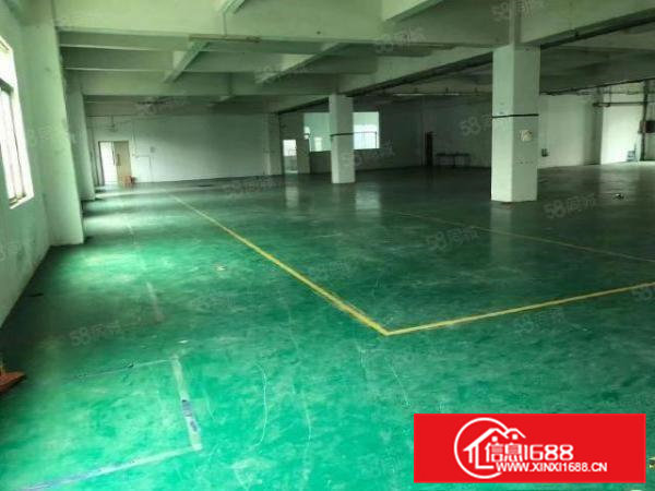 桥头镇原房东独院厂房，可分租，车间采光好，格局方正