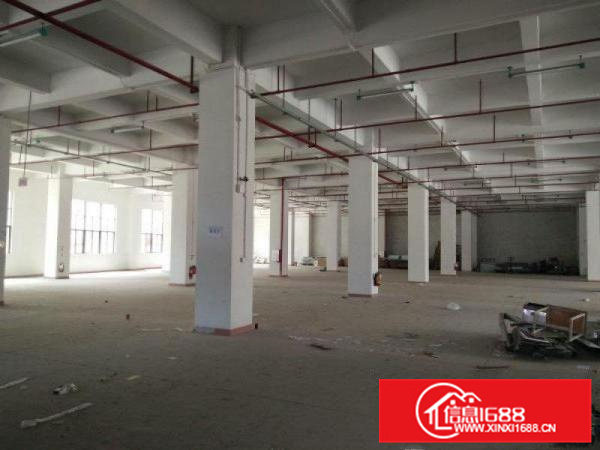 惠阳区镇隆原房东独栋标准厂房面积12000平米出租