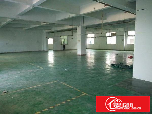 （靓盘）清溪三中新出楼上厂房1500平方出租形象好