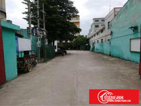 惠阳新墟独门独院钢构大小分租