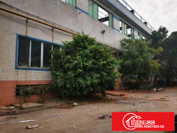 里水布新工业区新出花园式厂房出租10000平，1000平起分