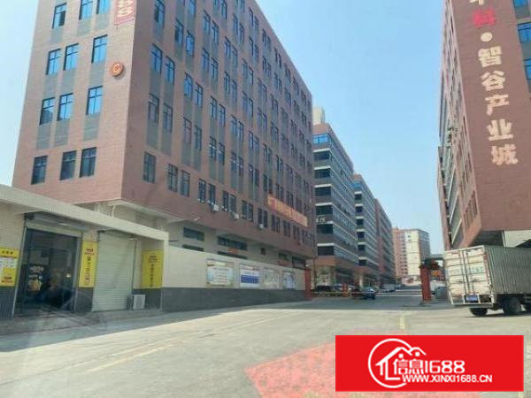 原房东独门独院标准厂房出租