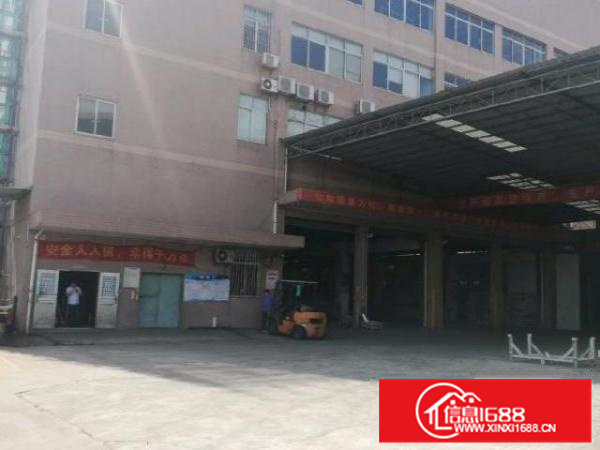 狮山标准1-4层独院厂房出租