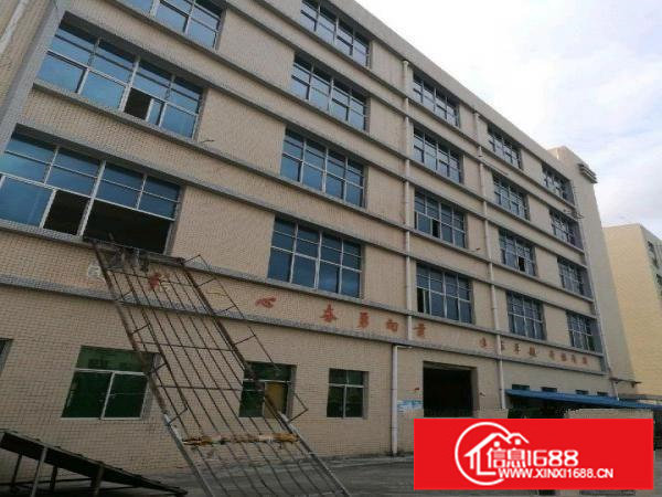 横岗西坑厂房650平米出租