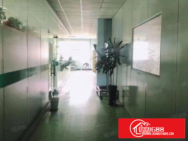 塘厦龙背岭单一层1900平方出租