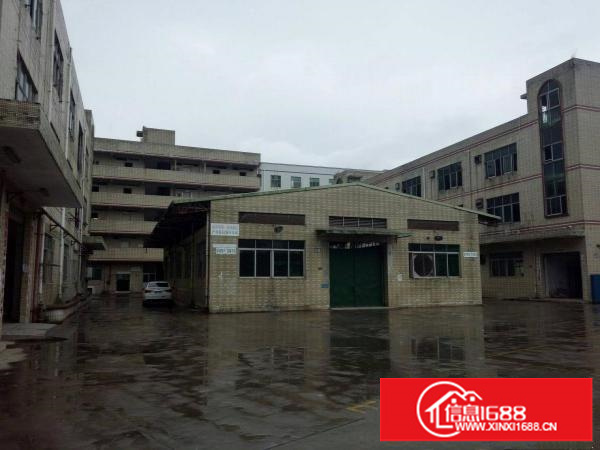 牛湖500、800、1000铁皮厂房出租