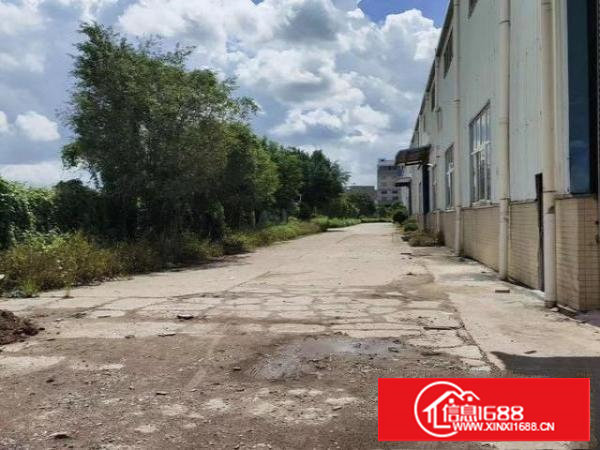 长安镇乌沙独院单一层出租，滴水8米，交通便利，整租18元