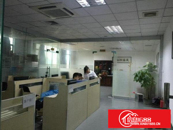 大浪高新科技园1000/1500/2200平带装修