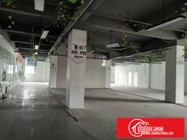 原房东无公摊自建电商贸易产业园100-4000大小分租超低价