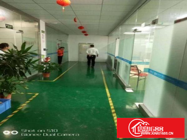 坪山新出楼上1200平厂房带地坪漆带吊顶现成装修办公室