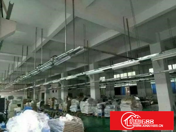 平湖白泥坑新出1楼仓库1500平方出租