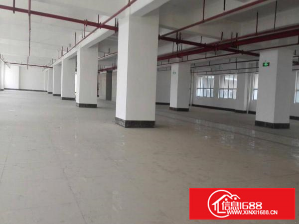 独院厂房，大小分租，1000平