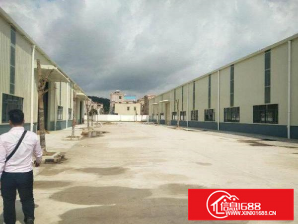 仲恺潼桥22500平钢构厂房出租（丙二类消防喷淋）