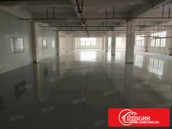 谢岗原房东全新三楼整层1500平方出租