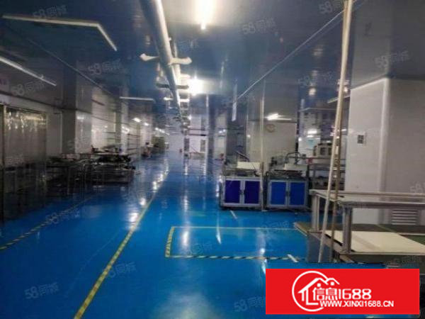 十万级无尘车间！坪山区高新产业园新空3300平方带豪华办公室
