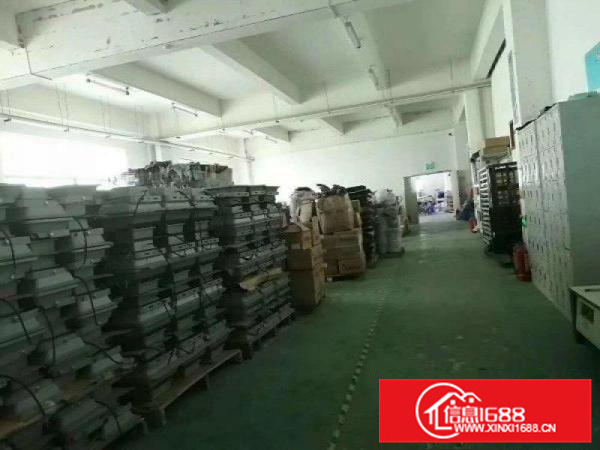 石湾镇标准独院厂房出租2100消防喷淋包办环评