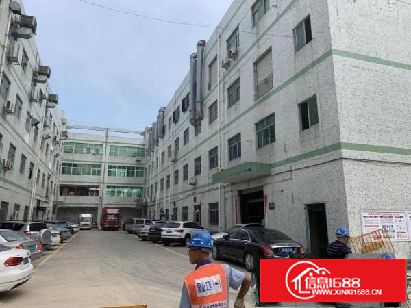 横岗一手原房东一楼1980平方实际面积出租