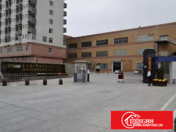 长安沙头村建安路800平米二楼办公仓库厂房业主便宜直租