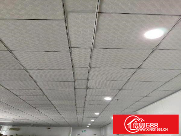 龙岗宝龙厂房800平米分租