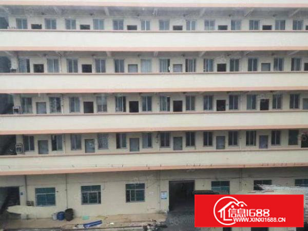 高埗冼沙厂房火爆招商中园区交通便利，标准独院，可办各类环评！