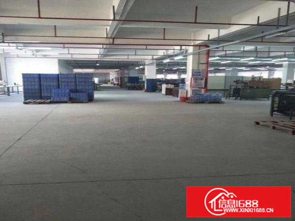 桥头大洲厂房1000平米