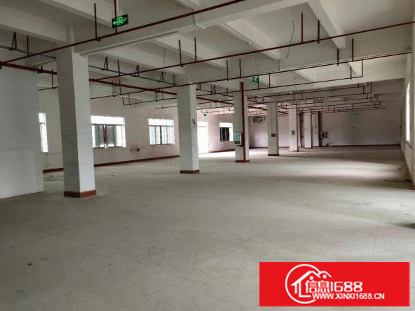 出租龙岗区横岗大康路二楼厂房免中介费