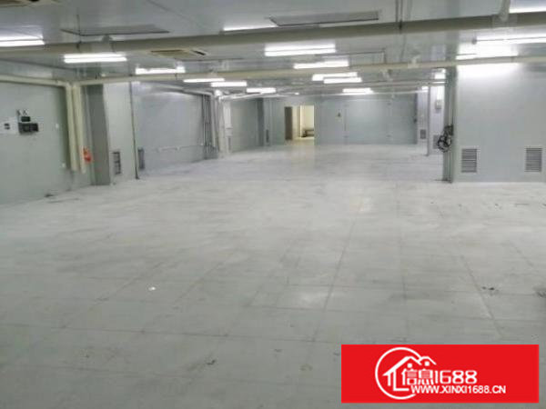 二楼1400平无尘车间福永塘尾恒强工业园-非中介