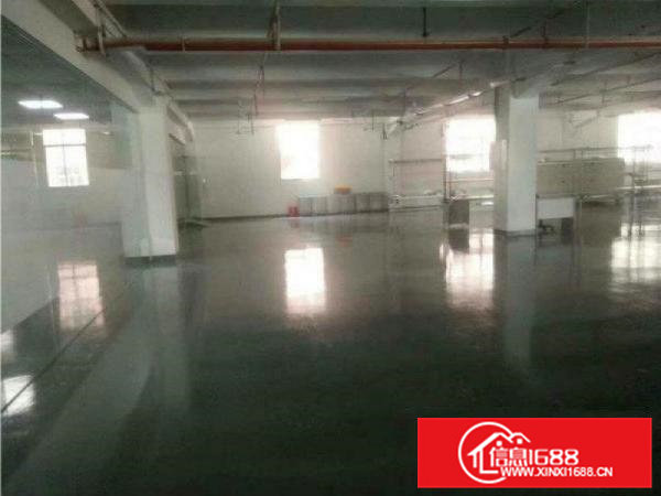 大岭山新出工业园楼上1000平厂房带装修