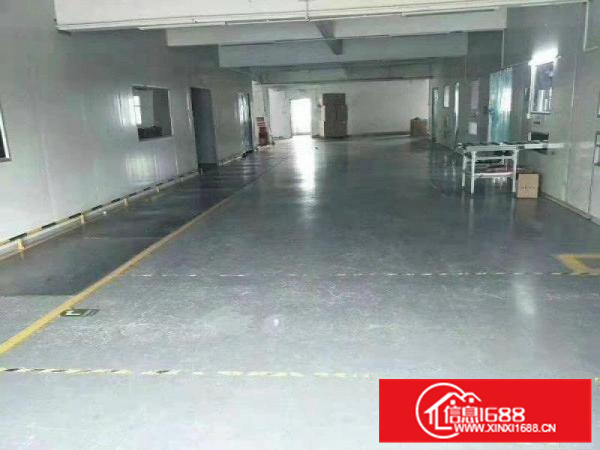 惠阳经济开发区标准花园式独院厂房8600平米出租