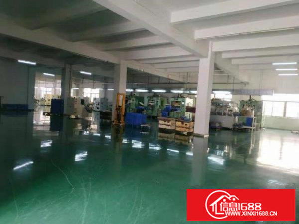 坪山区沙博新出6000平独院带豪华装修空地大可分租