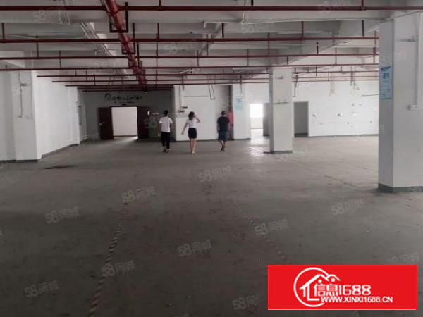 凤岗独院厂房出租5000平独立大院可分租面积不限价格实惠