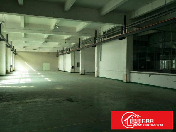 沙湖靠深圳厂房1350平米标准一楼带牛角可分租整租