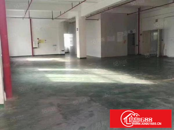 金凤凰无公摊原房东厂房出租楼上1850平方