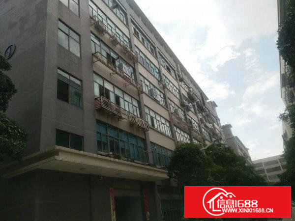 龙华大浪新出楼上带办公室装修600平厂房，拎包入住