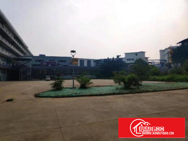 沙井红本工业园厂房出租