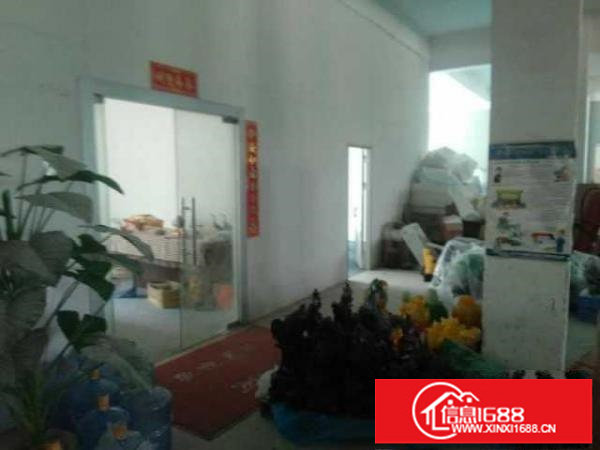 龙华大浪新出红本独院厂房11750平招租（可整层分租）