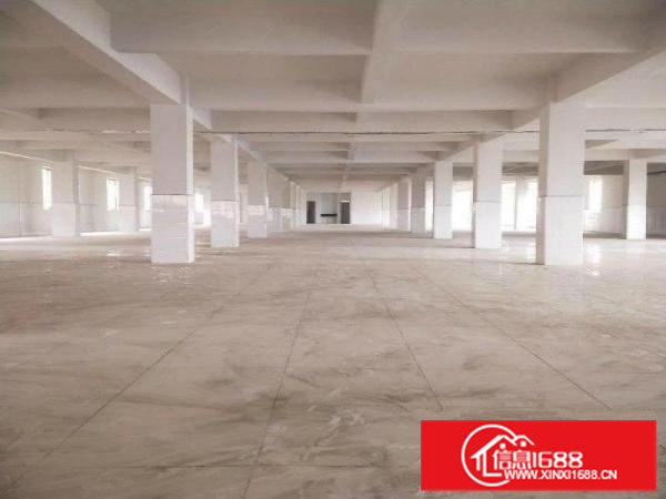 容桂独门独院工业园招租、标准加简易、带吊机电大