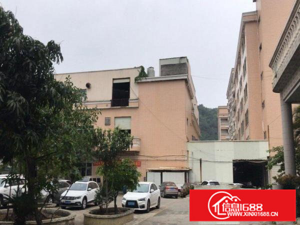 出租虎门镇路东环评厂房