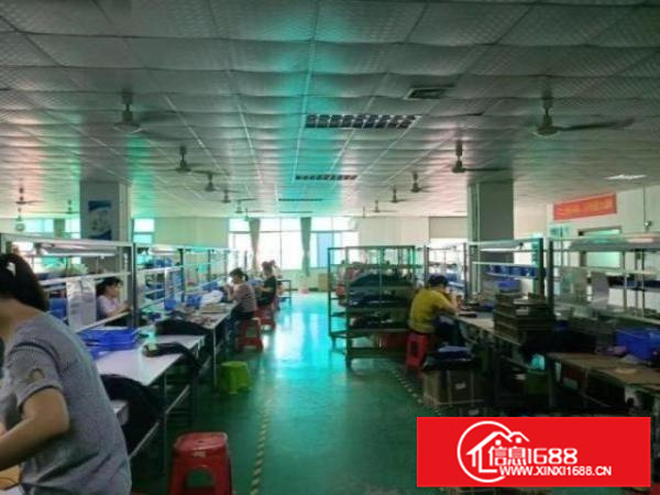 精装修！丹灶建设村新出1楼1200方厂房，空地免费