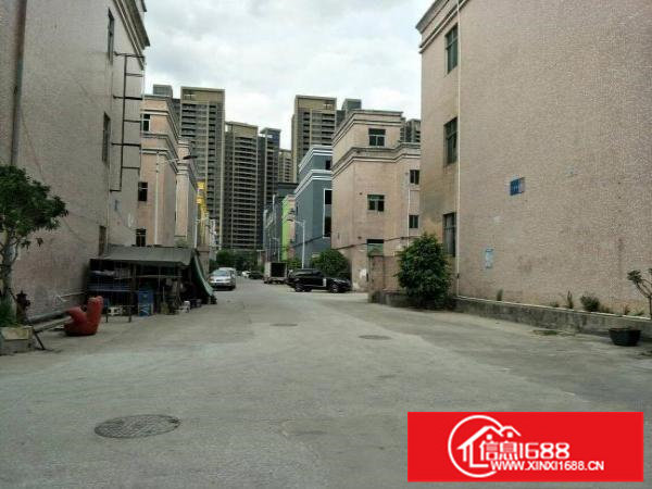 坪山坪环工业区新出独院厂房3300平宿舍1500平