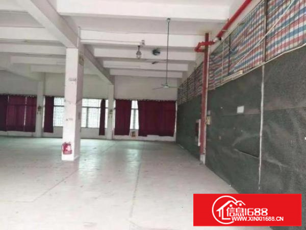 容桂标准800厂房出租、形象好、招工易、近大马路