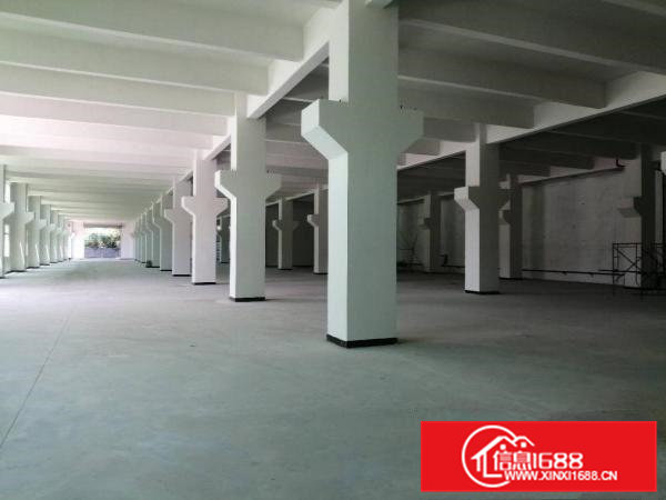 独栋厂房，7000平。单层3500平。2层。大小可分租。带院