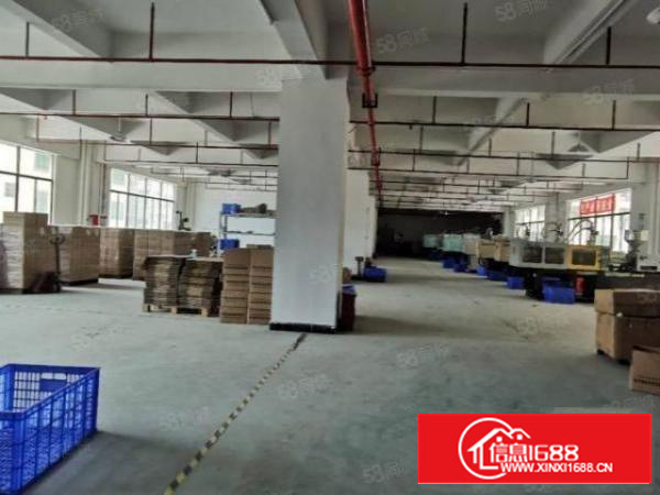 寮步原房东独院厂房上市公司有红本