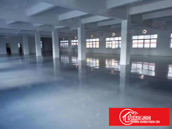 寮步向西工业区标准厂方一楼1000平方招租