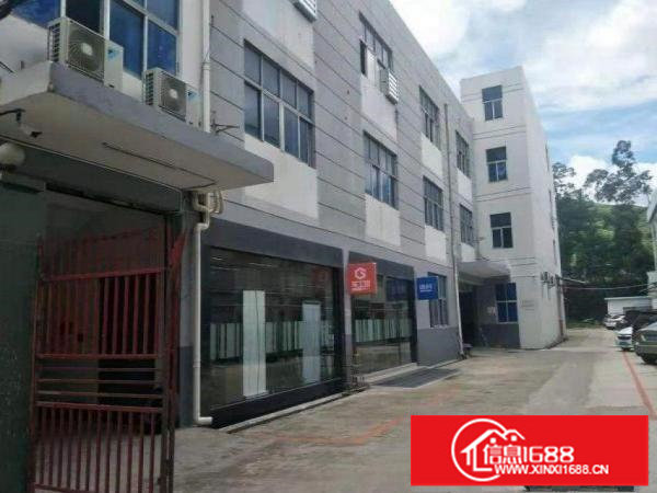 横岗街道独门独栋标准1楼厂房500平招租。空地大，精装修