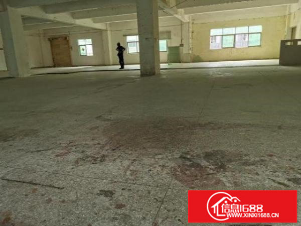 龙岗大道地铁口楼上500厂房