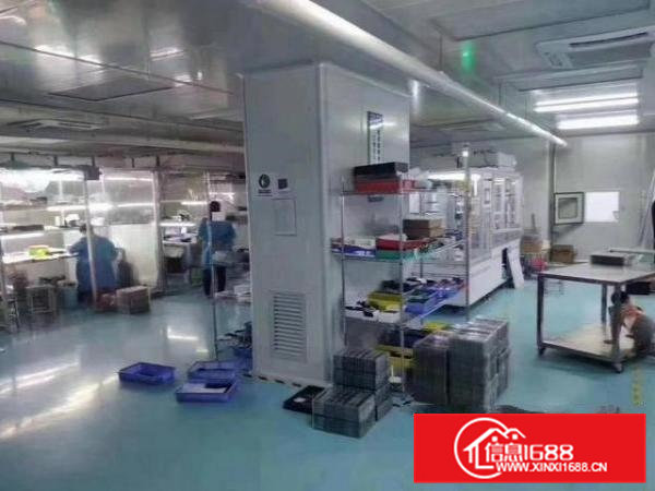 虎门龙眼社区新出楼上2180平豪华装修厂房出租，靠近主干道